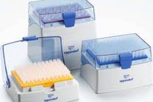 ENS01.3200 Pipettenspitzen 50-1000µl Eppendorf Rack 5x96 ENS01.3200 Pipettenspitzen 50-1000µl Eppendorf Rack 5x96